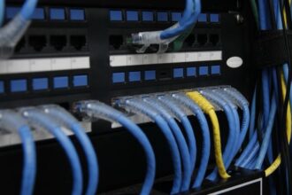 Detran de Mato Grosso do Sul já derrubou mais de 10 sites falsos em 2026 e intensifica monitoramento