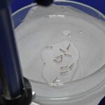 Boletim Epidemiológico: MS registra 4.834 casos confirmados de chikungunya