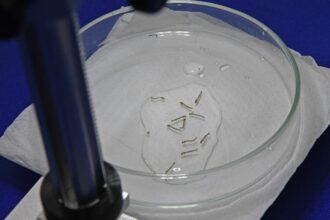 Boletim Epidemiológico: MS registra 4.834 casos confirmados de chikungunya