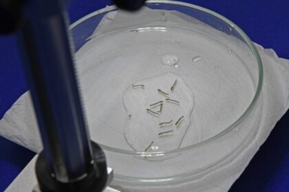 Boletim Epidemiológico: MS registra 4.834 casos confirmados de chikungunya