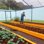 Semaa entrega mais de 800 mudas de hortaliças para fortalecer horta da APAE