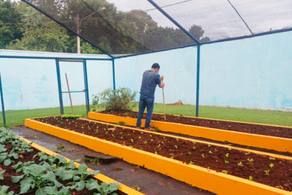 Semaa entrega mais de 800 mudas de hortaliças para fortalecer horta da APAE