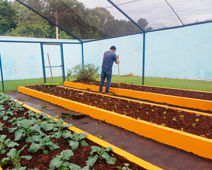 Semaa entrega mais de 800 mudas de hortaliças para fortalecer horta da APAE