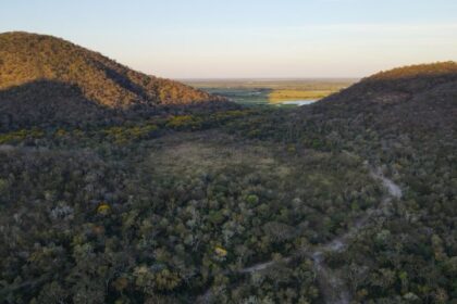 Para preservar o Pantanal, podutores rurais têm ações de conservação remuneradas por programa do Governo de MS