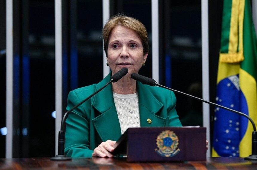Tereza Cristina entra na briga para a presidência do Senado
