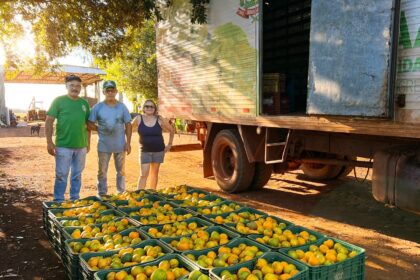 Sidrolândia lidera CeasaMS com a força do pequeno agricultor
